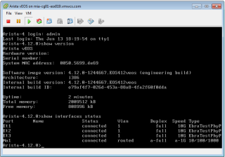 Figure 17: Working vEOS install on ESX 