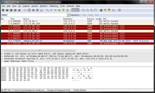 Figure 1: PCAP file captured via Arista EOS shell in Wireshark 