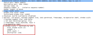 Figure 3: TCP Window scale in Wireshark 