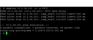 Figure 10: Successful vmkping with Jumbo Frames 