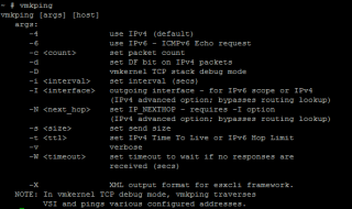 Figure 8: Options for the tool vmkping 