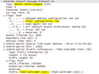 Figure 9: RA with <em>Other</em> flag set 