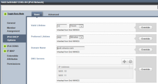 Figure 10: Infoblox DHCPv6 basic configuration 