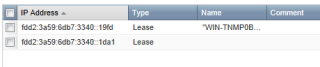 Figure 15: IPv6 address leases within Infoblox 