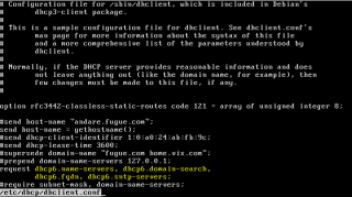 Figure 12: Instruct Linux only to ask for nameserver-relevant information via DHCPv6 