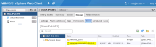 Figure 2: Upload the NSX vSwitch vib to storage accessible by ESXi 