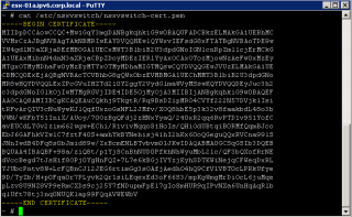 Figure 4: NSX OVS SSL certificate displayed for an ESXi host 