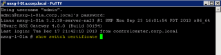 Figure 15: Extract NSX Gateway certificate - Step 1 
