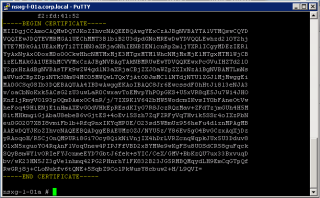 Figure 16: Extract NSX Gateway certificate - Step 2 