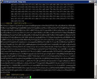 Figure 13: NSX OVS SSL certificate displayed for VOVA 