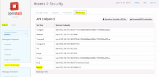 Figure 1: OpenStack API Endpoint Information 