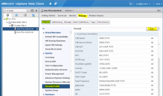 Figure 11: Edit the Security Profile of the ESXi hosts 