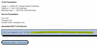 Figure 14: Retrieve the generated TLSA record 