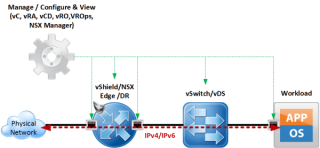 Figure 1: IPv6 Tenant Use Case 