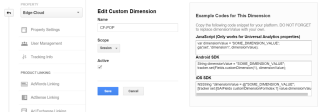 Figure 2: Create a Google Analytics Custom Dimension 