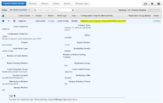 Figure 15: Lookup the Memcached endpoint address 