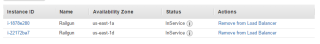 Figure 30: ELB instances in status <em>InService</em> 