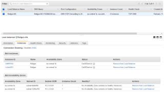 Figure 29: Monitor the Load Balancer Instances 