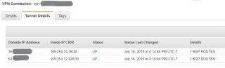 Figure 3: AWS Site-to-Site VPN showing as <strong>UP</strong> with routes being received. 