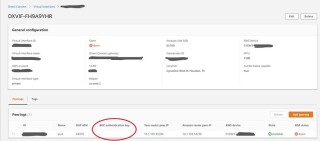 Figure 1: Hosted VIF showing no BGP Auth Key configured. 