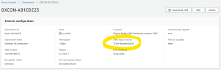 Figure 5: AWS Logical Device ID for identifying the resiliency of the connection. 