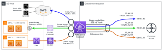 Figure 4: Direct Connect Logical Overview 