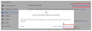 Figure 5: Export a zone file from Google Domains in BIND format. 