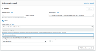 Figure 2: Route 53 wildcard record pointing to a CloudFront distribution. 