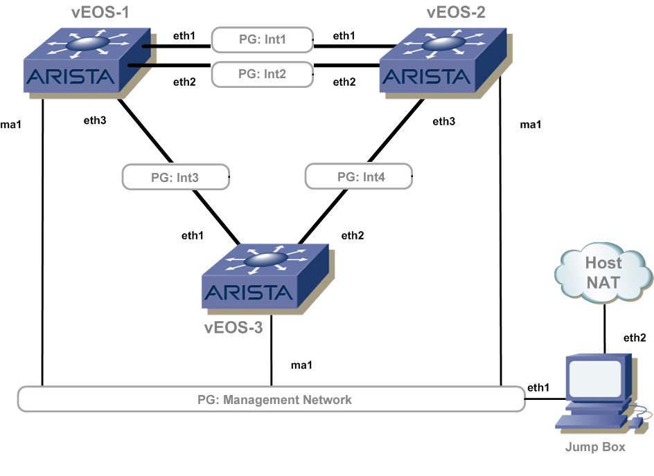 Figure 18: Sample vEOS lab layout