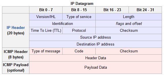 Figure 9: IP Datagram