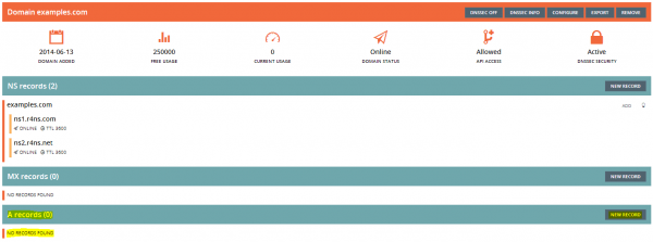 Figure 11: Create a new A record - Step 1