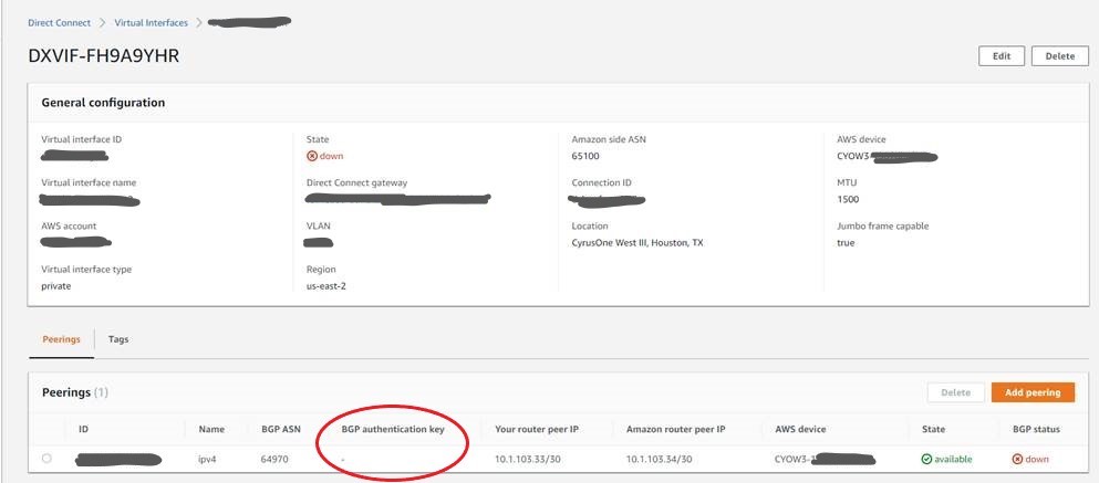 Figure 1: Hosted VIF showing no BGP Auth Key configured.